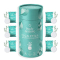 Eukalyptus-Dusch-Duftkissen - Geschenkbox 6er Pack