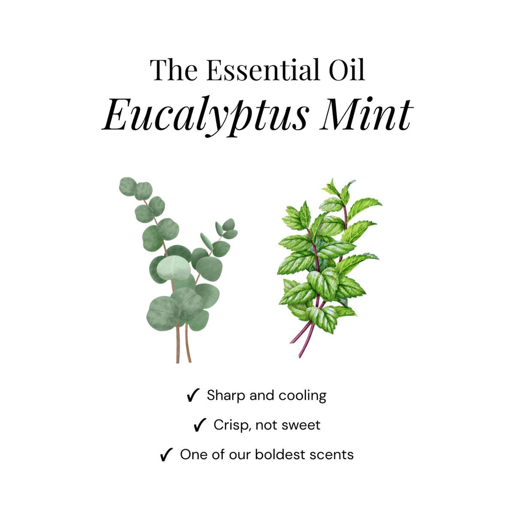 Eukalyptus-Dusch-Duftkissen - Geschenkbox 6er Pack