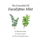 Eukalyptus-Dusch-Duftkissen - Geschenkbox 6er Pack