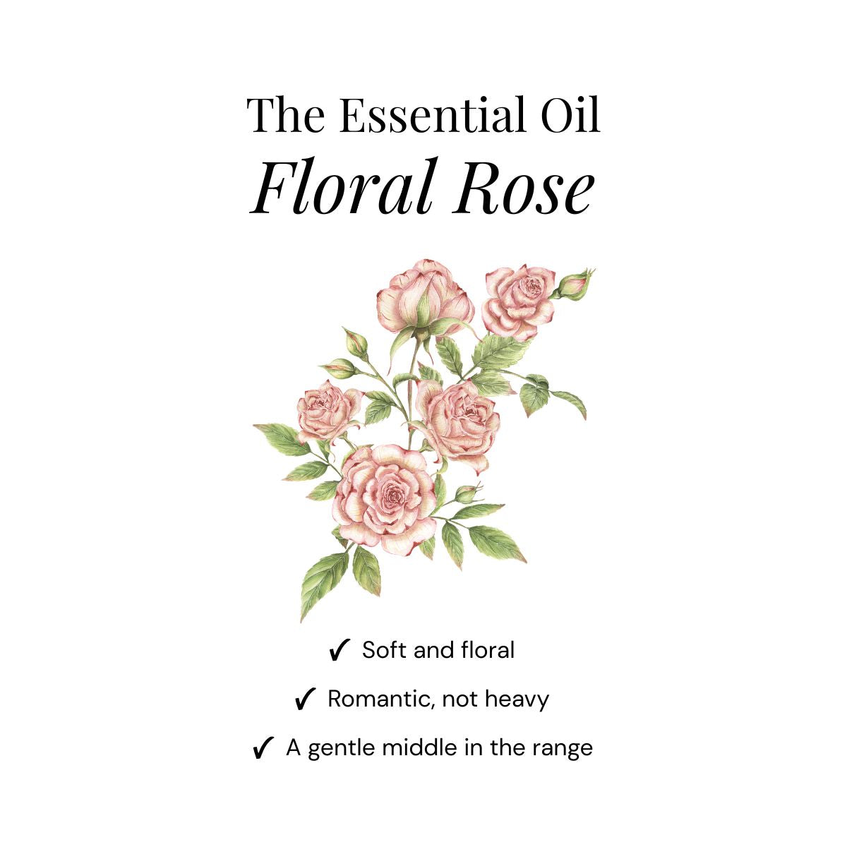 Floral Rose Dusch-Duftkugeln - Geschenkbox 6er Pack