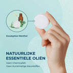 Eukalyptus-Duschdampfer – 6er-Geschenkpackung